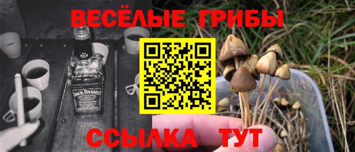Галлюциногенные грибы прущие грибы Урай